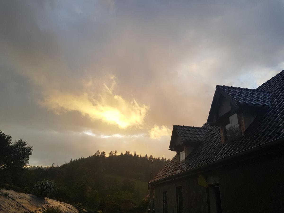 Pokoje Goscinne Art- Dworek Kudowa-Zdrój Exterior foto